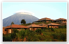 Virunga Park
